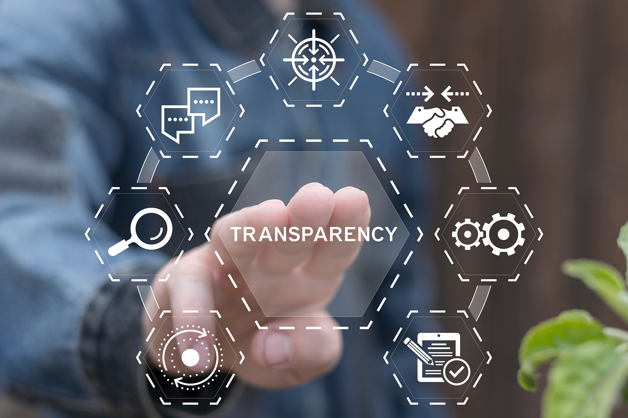 Building Trust in an Age of Misinformation: The Role of Transparency in Marketing